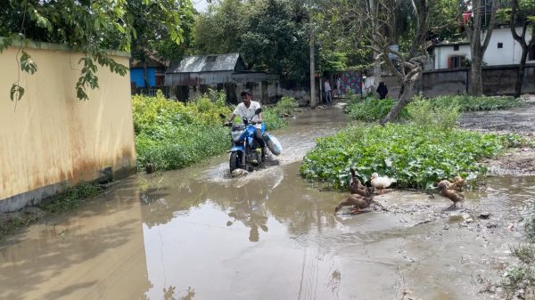 নবীনগরে ডুবন্ত রাস্তা যেন মরণ ফাঁদ